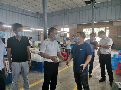 王建華在浮屠調研脫貧攻堅、鄉(xiāng)村振興和巡視反饋問題整改工作